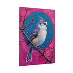 Blue jay on a holly branch Wall Art - Poster
