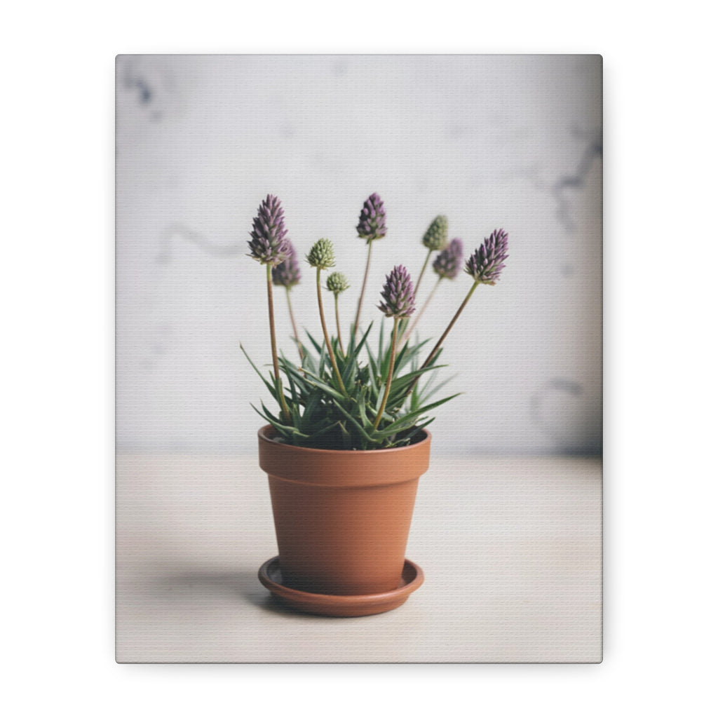 Potted Alpine Dodgegrass Wall Art – Stretched Canvas
