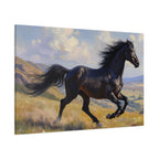 Running Black Stallion Wall Art - Horse Painting - Stretched Canvas