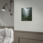 Misty Forest Path  Stretched Wall Art - Poster