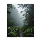 Misty Forest Path  Stretched Wall Art - Poster