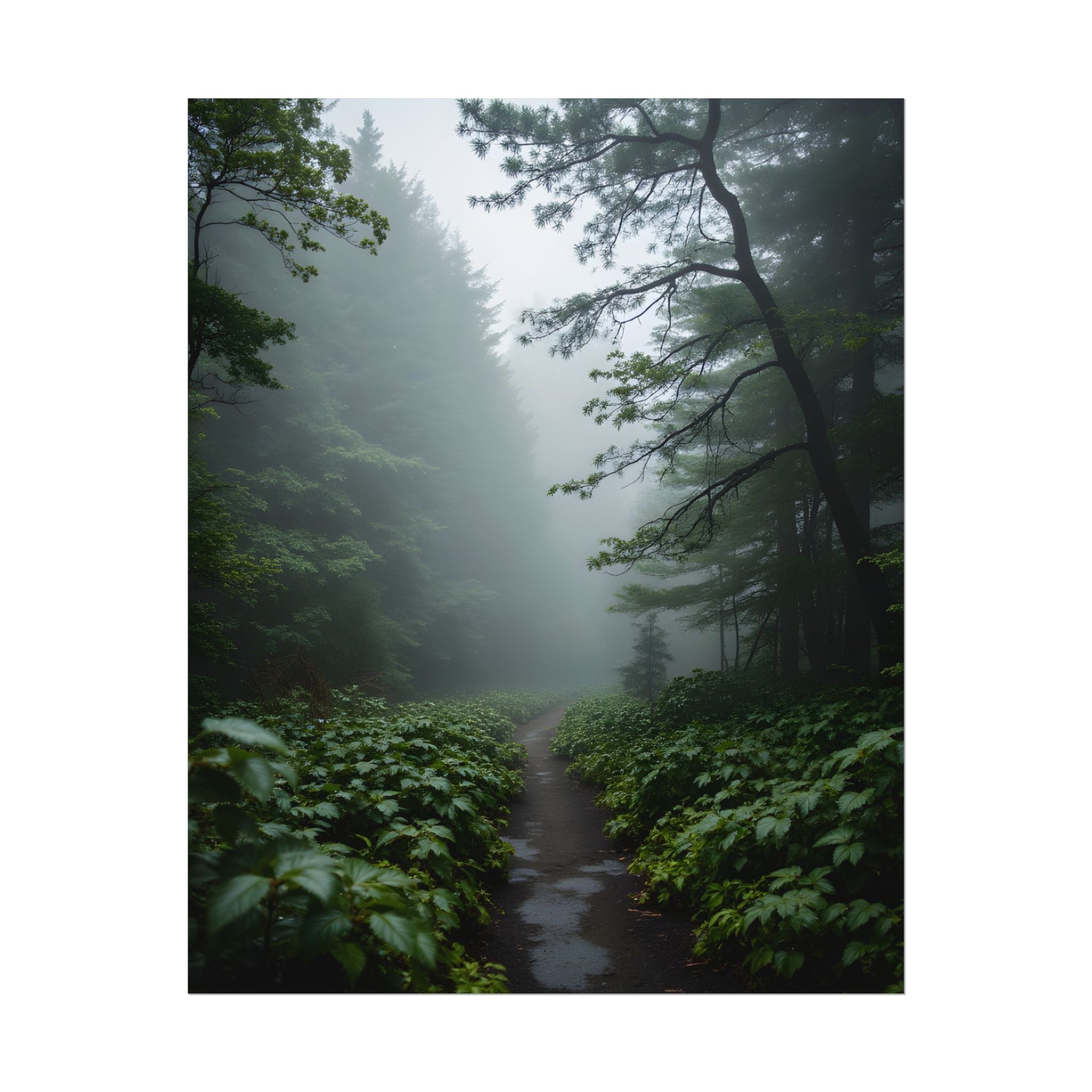 Misty Forest Path  Stretched Wall Art - Poster