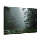 Misty Forest Path  Stretched Wall Art - Canvas Print
