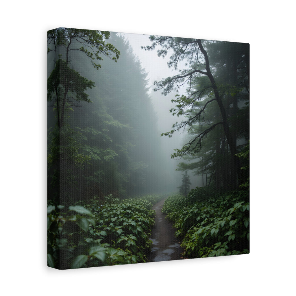 Misty Forest Path  Stretched Wall Art - Canvas Print
