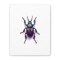 Iridescent Beetle Wall Art – Stretched Canvas