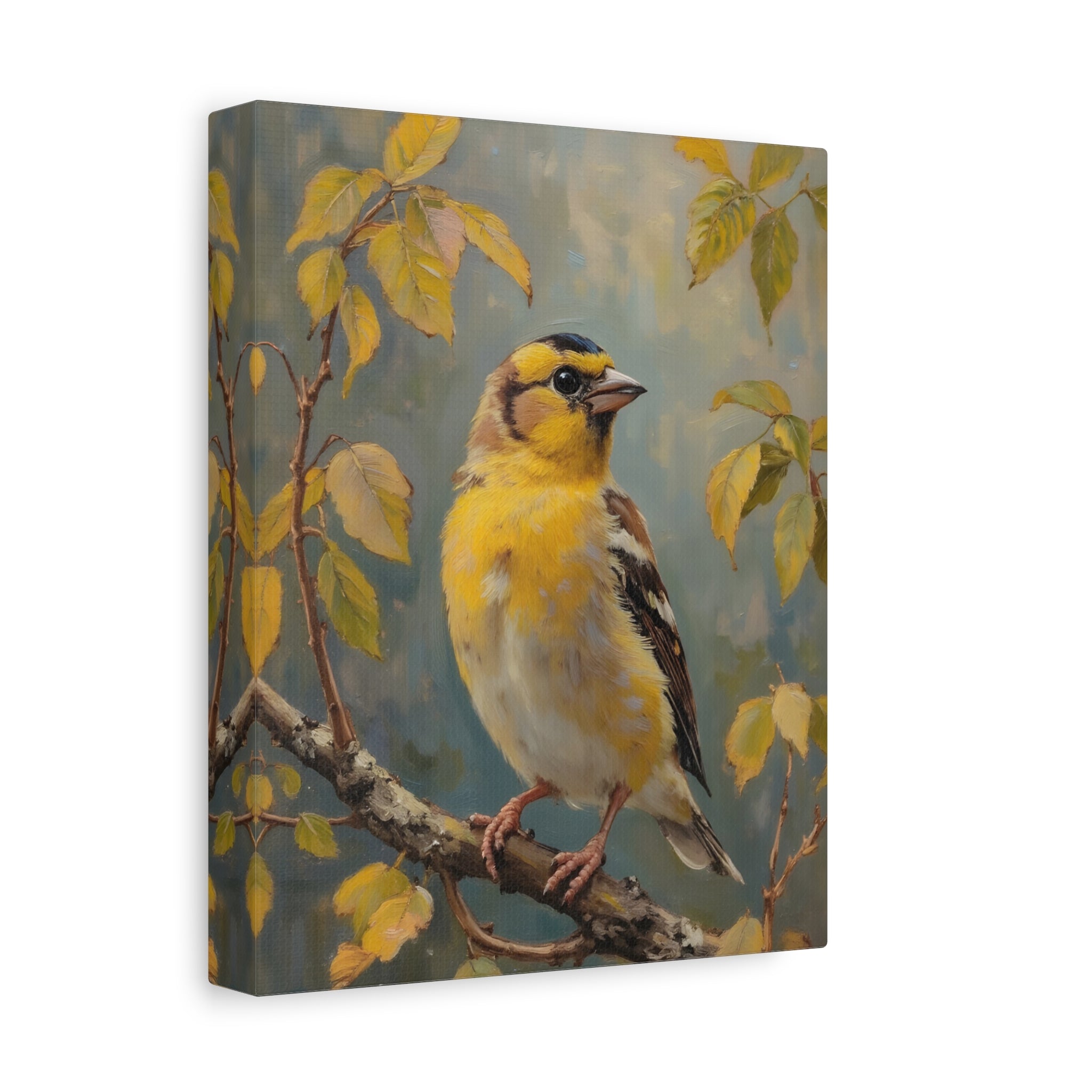 Goldfinch on a branch Wall Art - Stretched Canvas