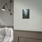 Misty Forest Path  Stretched Wall Art - Poster