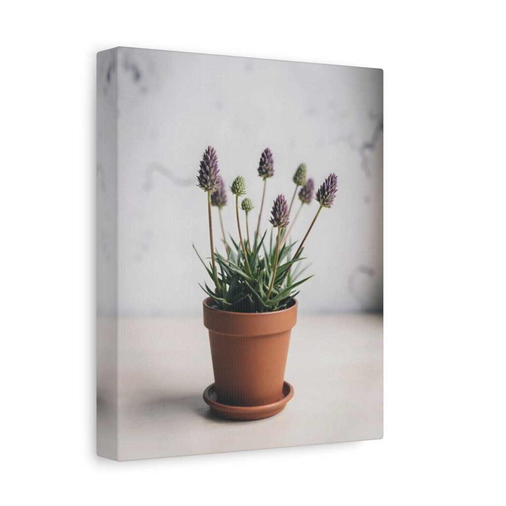 Potted Alpine Dodgegrass Wall Art – Stretched Canvas