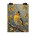 Goldfinch on a branch Wall Art - Poster