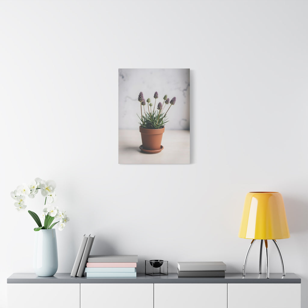 Potted Alpine Dodgegrass Wall Art – Stretched Canvas