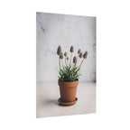 Potted Alpine Dodgegrass Wall Art – Poster