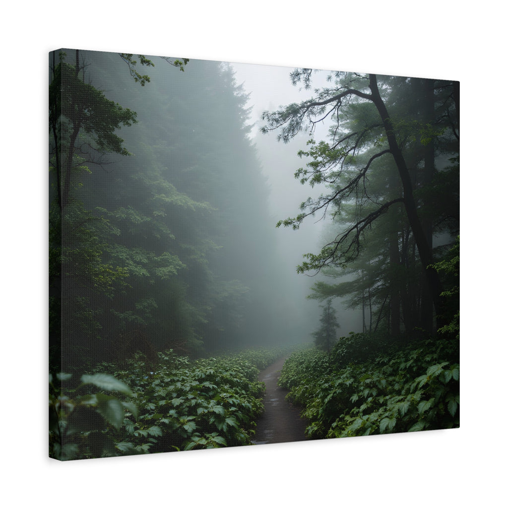 Misty Forest Path  Stretched Wall Art - Canvas Print