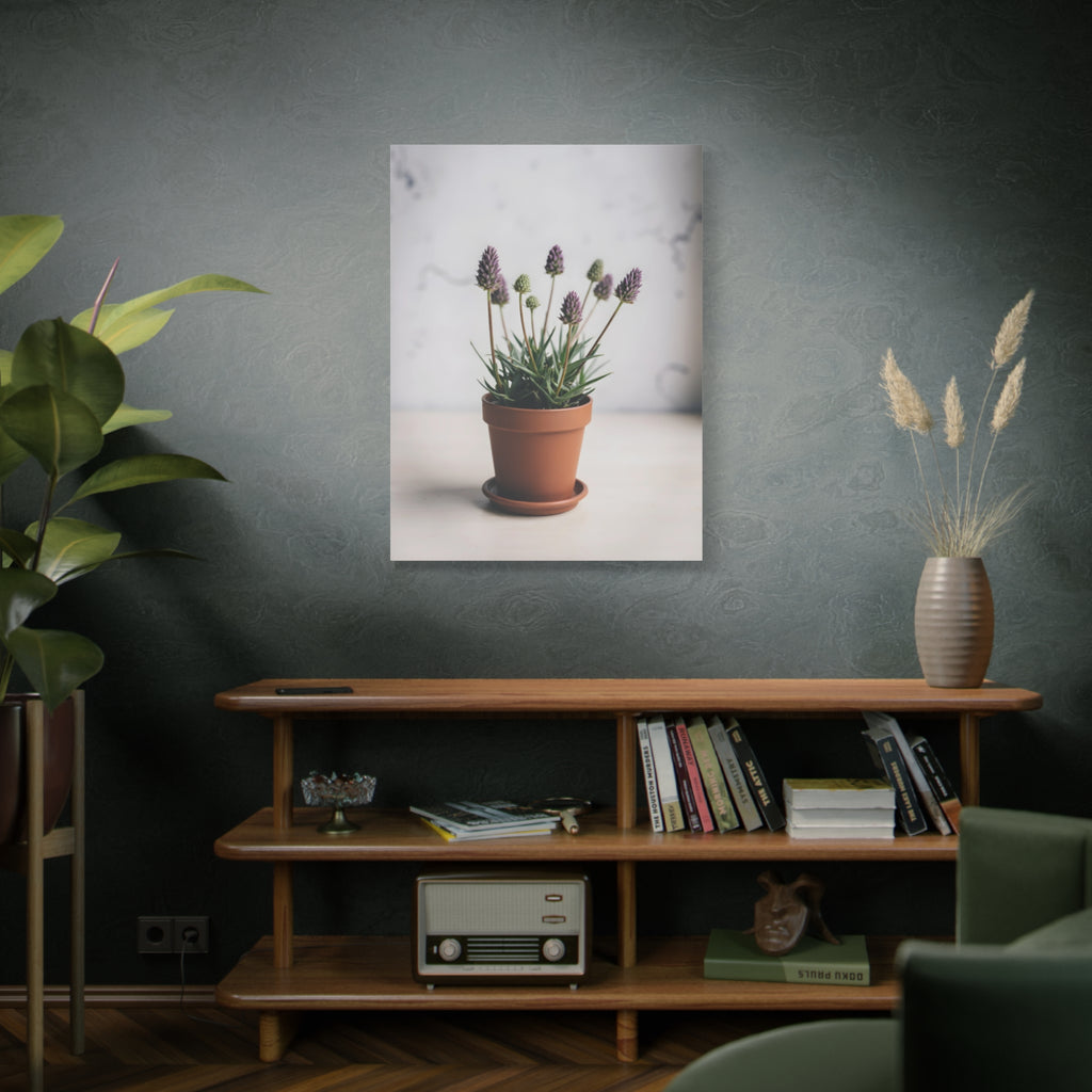 Potted Alpine Dodgegrass Wall Art – Stretched Canvas