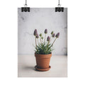 Potted Alpine Dodgegrass Wall Art – Poster