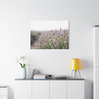 Lavender Field Wall Art – Stretched Canvas