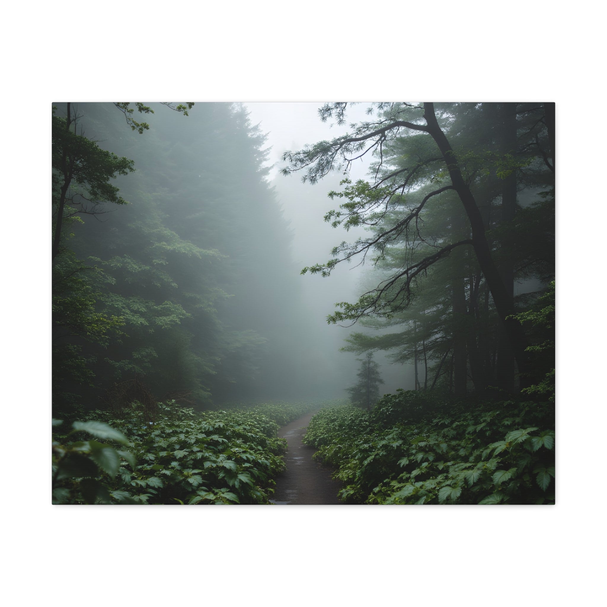Misty Forest Path  Stretched Wall Art - Canvas Print