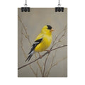 Goldfinch Art Poster - Yellow Songbird Print for Nature Lovers