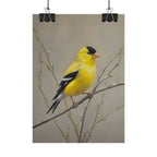 Goldfinch Art Poster - Yellow Songbird Print for Nature Lovers
