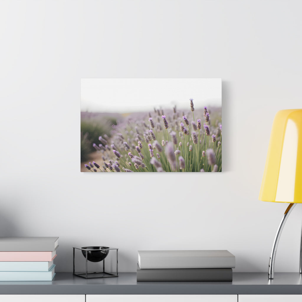Lavender Field Wall Art – Stretched Canvas