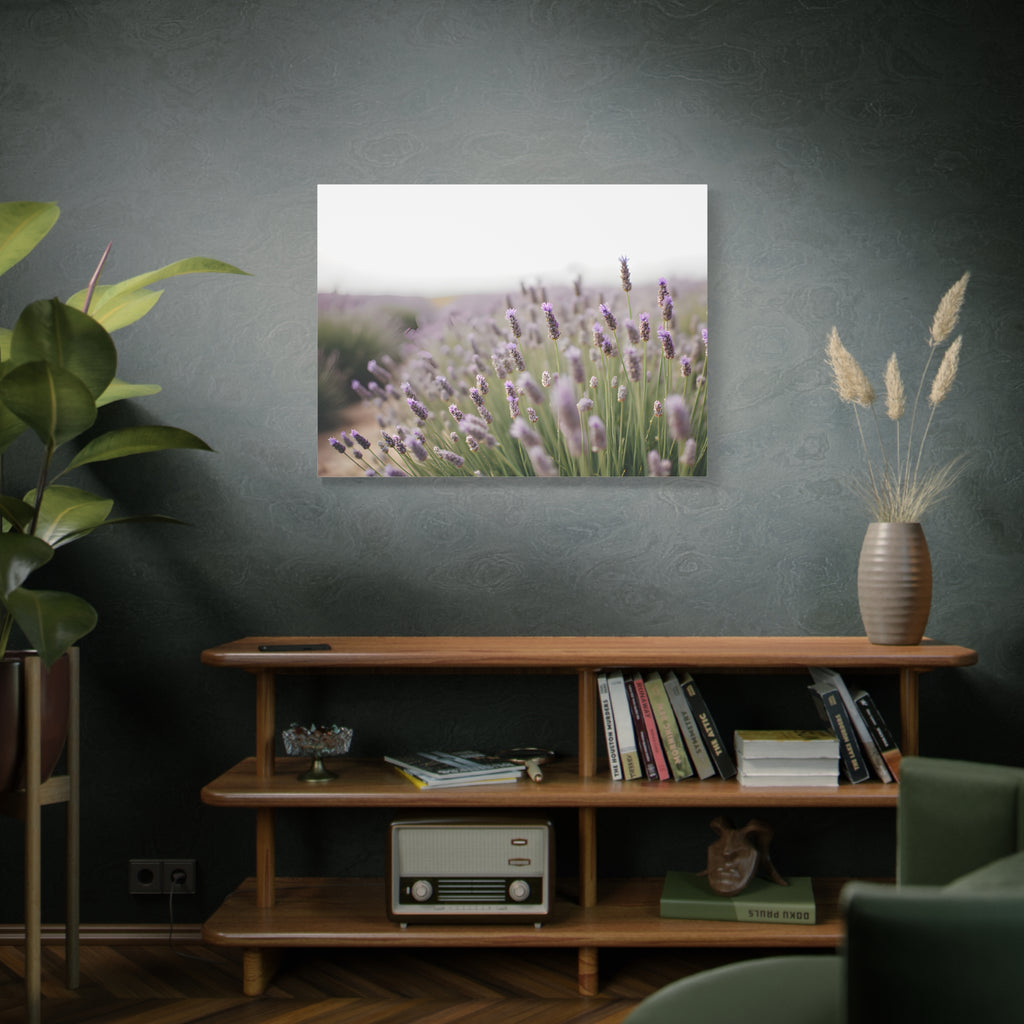 Lavender Field Wall Art – Stretched Canvas