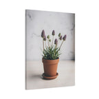 Potted Alpine Dodgegrass Wall Art – Stretched Canvas