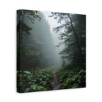 Misty Forest Path  Stretched Wall Art - Canvas Print