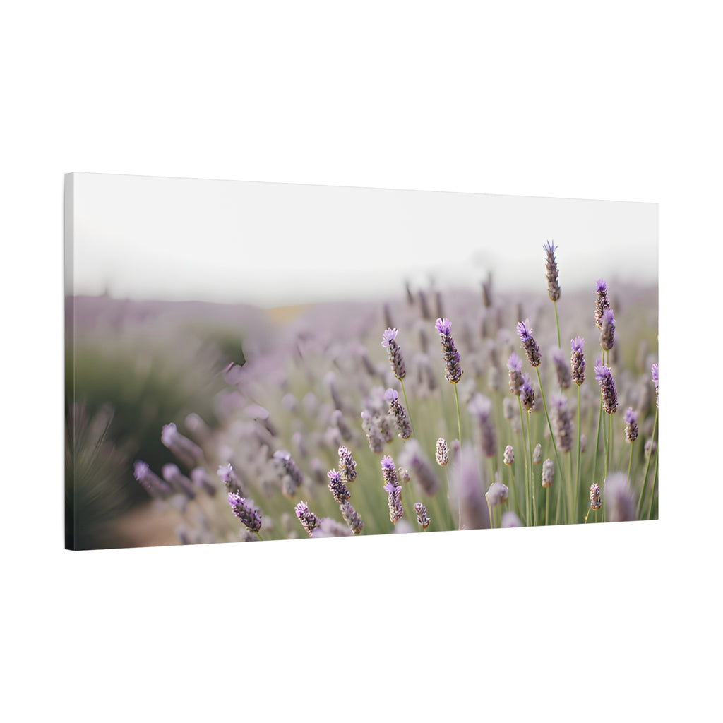 Lavender Field Wall Art – Stretched Canvas