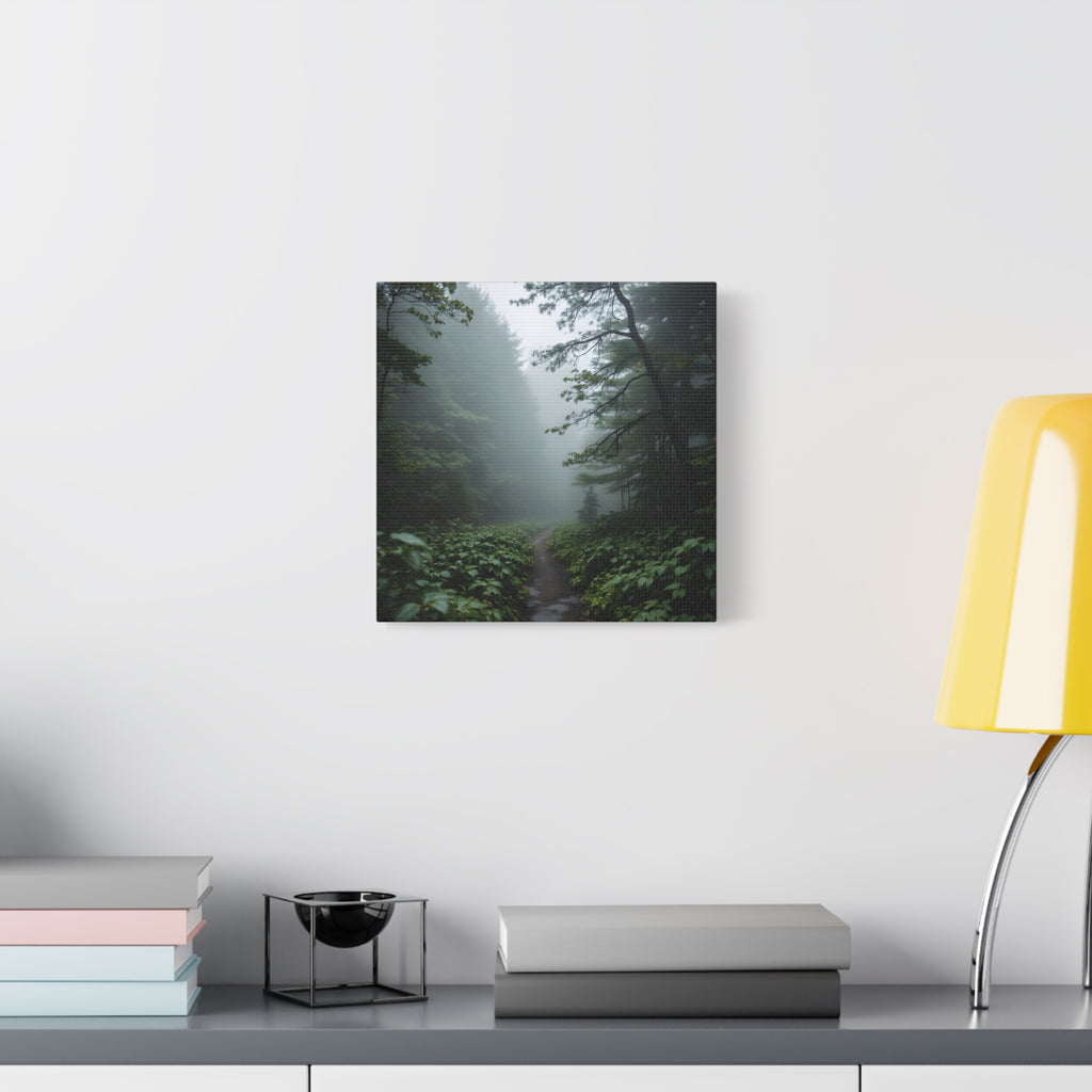 Misty Forest Path  Stretched Wall Art - Canvas Print