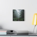 Misty Forest Path  Stretched Wall Art - Canvas Print