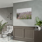 Lavender Field Wall Art – Poster