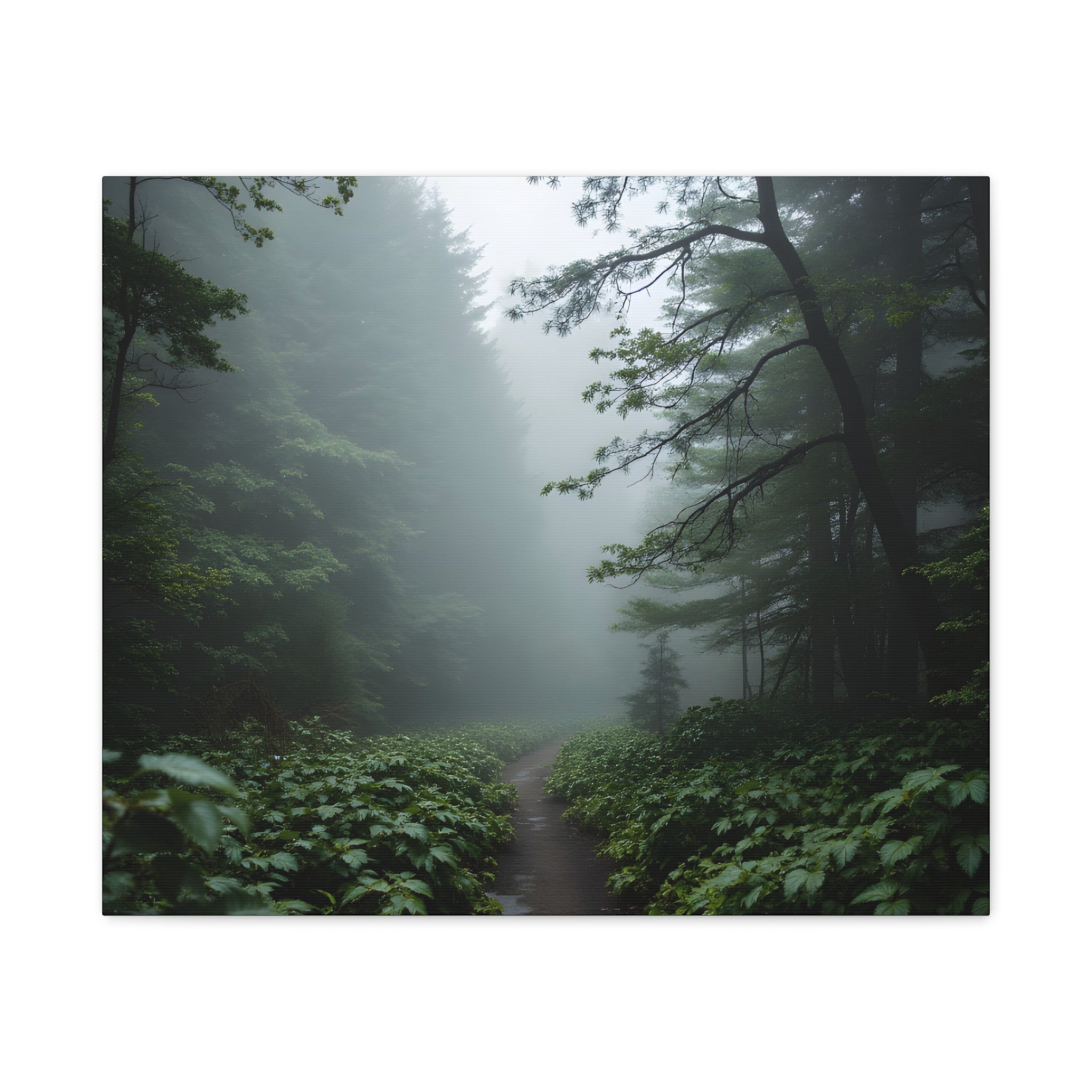 Misty Forest Path  Stretched Wall Art - Canvas Print