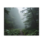 Misty Forest Path  Stretched Wall Art - Canvas Print