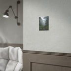 Misty Forest Path  Stretched Wall Art - Poster