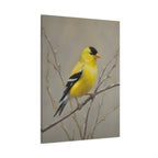 Goldfinch Wall Art Canvas — Yellow Songbird Painting on Branch, Matte Stretched Canvas