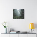 Misty Forest Path  Stretched Wall Art - Canvas Print