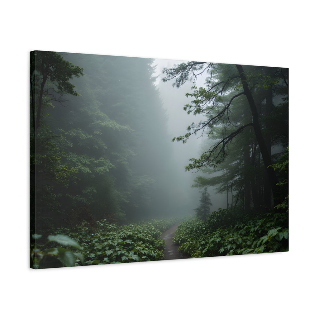 Misty Forest Path  Stretched Wall Art - Canvas Print