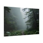 Misty Forest Path  Stretched Wall Art - Canvas Print