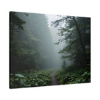 Misty Forest Path  Stretched Wall Art - Canvas Print
