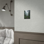 Misty Forest Path  Stretched Wall Art - Poster