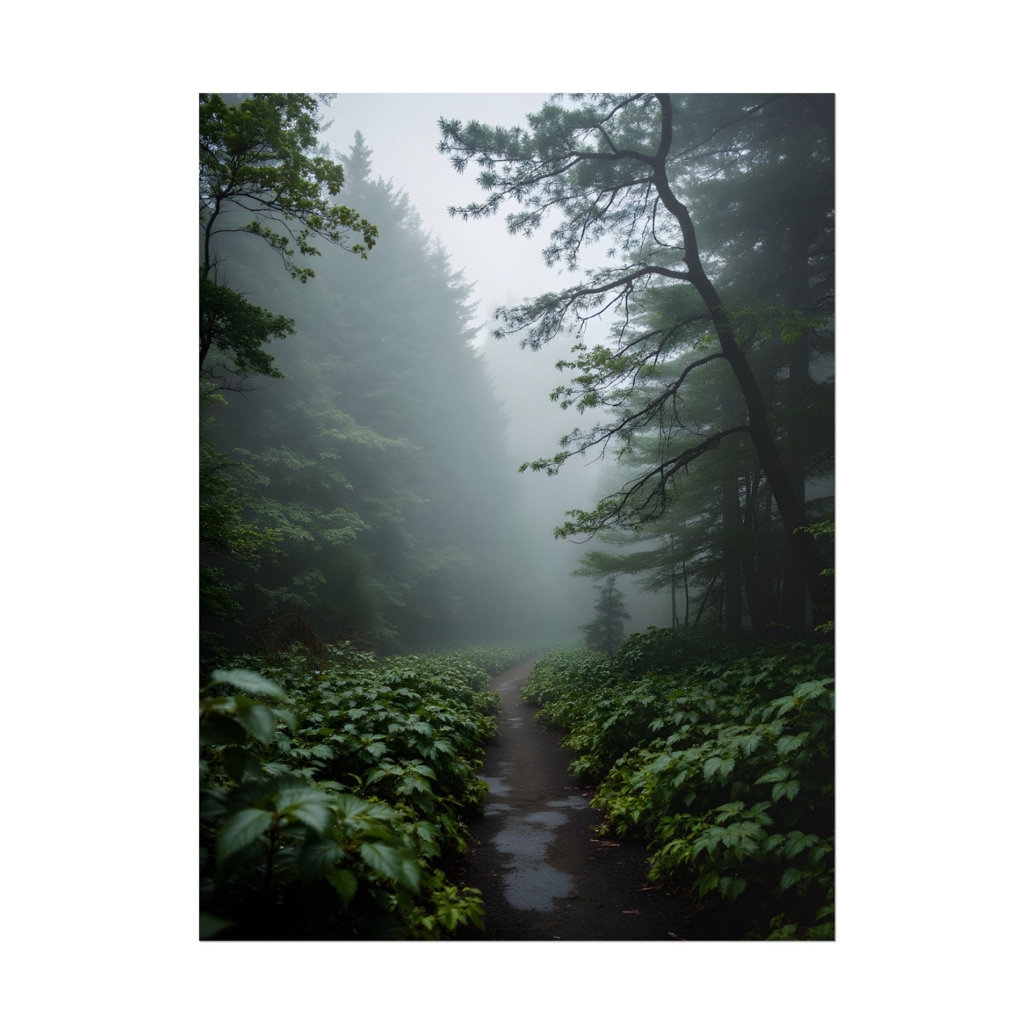Misty Forest Path  Stretched Wall Art - Poster