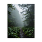 Misty Forest Path  Stretched Wall Art - Poster