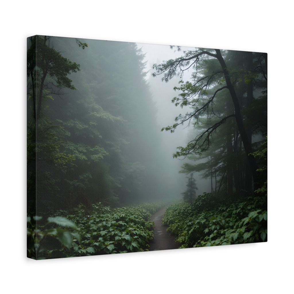 Misty Forest Path  Stretched Wall Art - Canvas Print