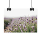 Lavender Field Wall Art – Poster