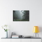 Misty Forest Path  Stretched Wall Art - Canvas Print