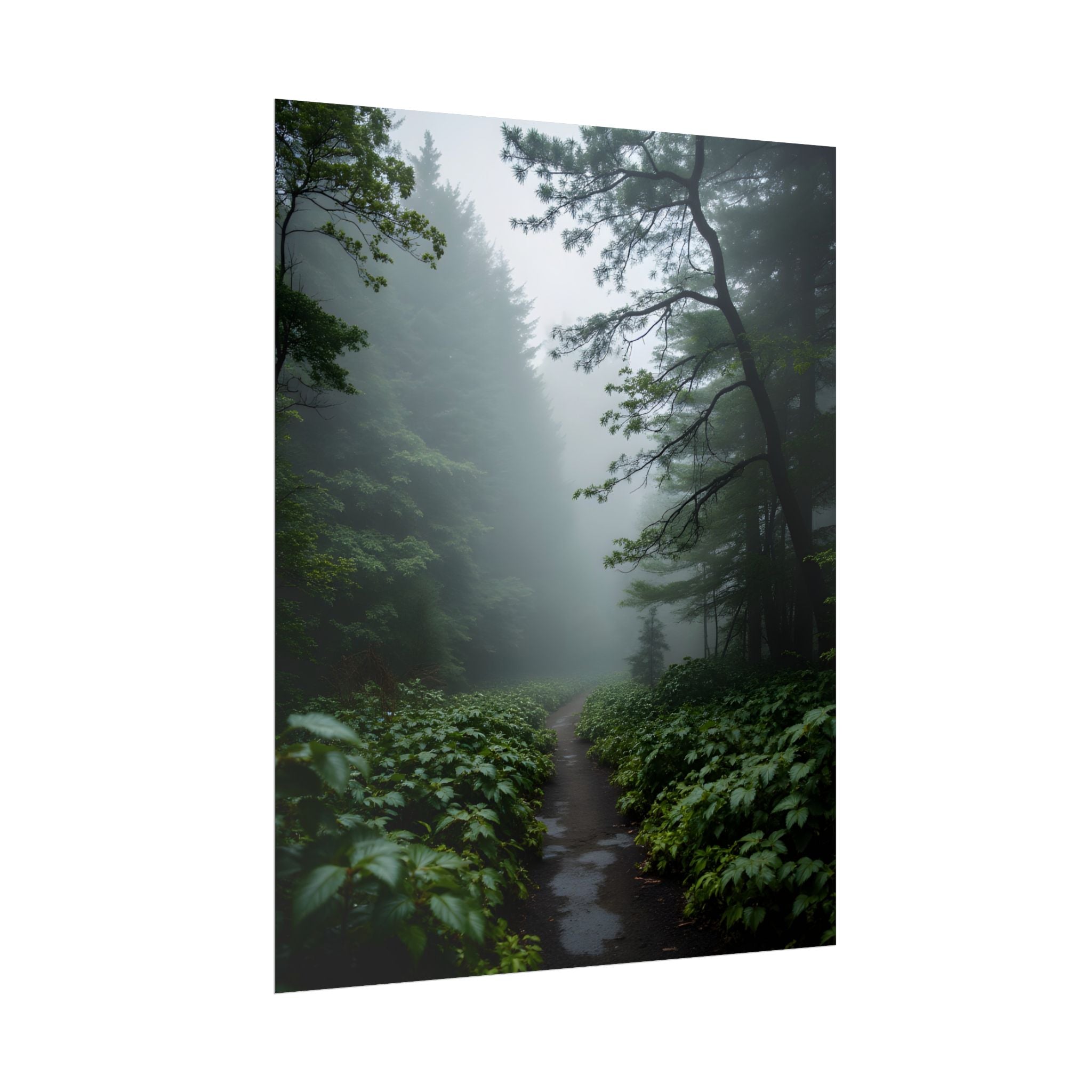 Misty Forest Path  Stretched Wall Art - Poster