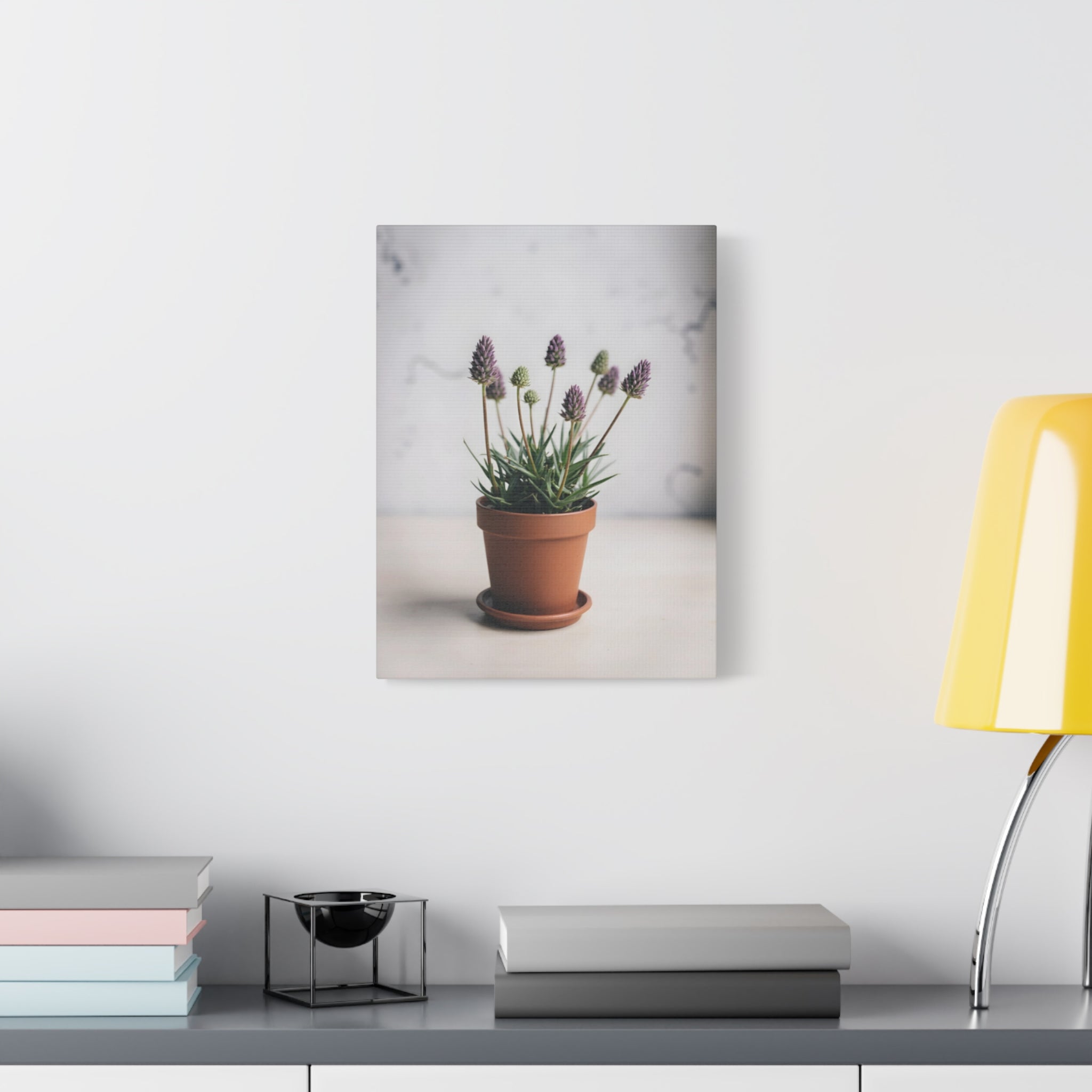 Potted Alpine Dodgegrass Wall Art – Stretched Canvas