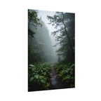 Misty Forest Path  Stretched Wall Art - Poster