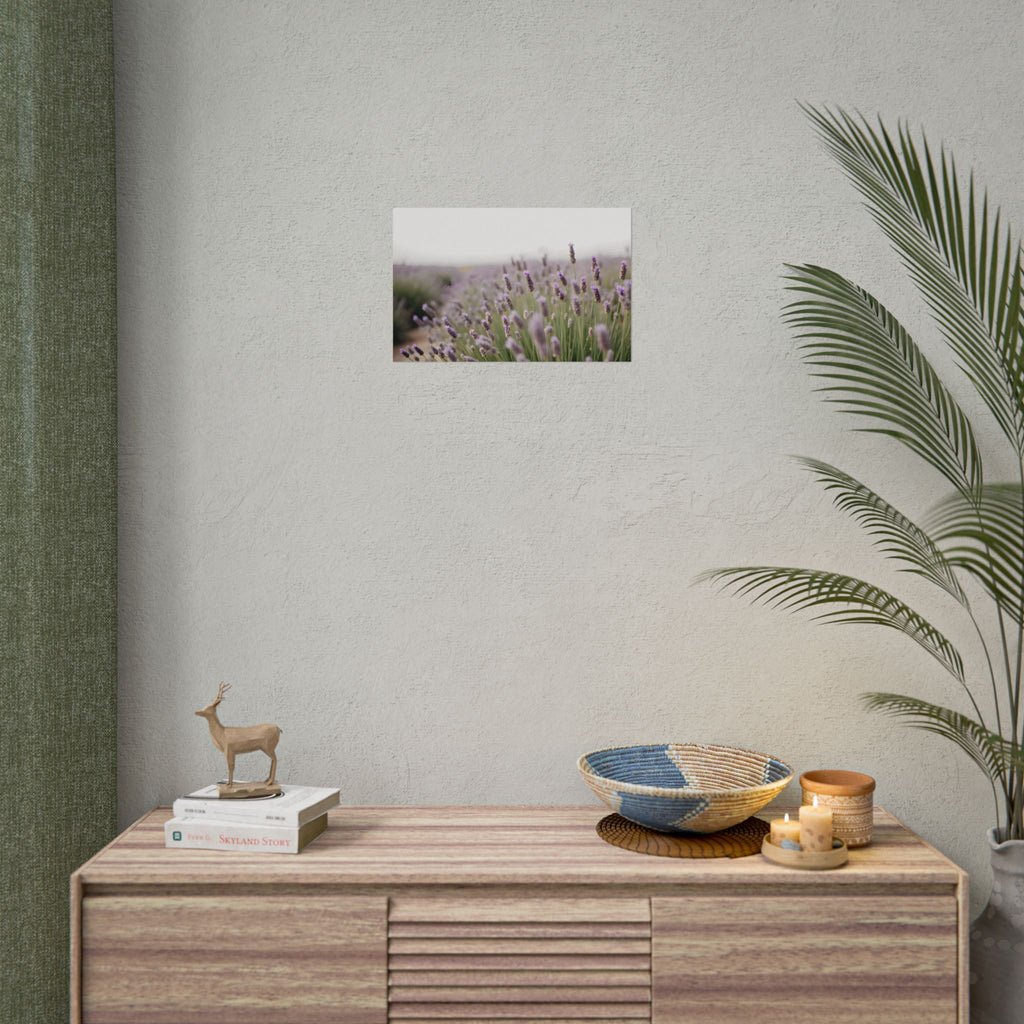 Lavender Field Wall Art – Poster