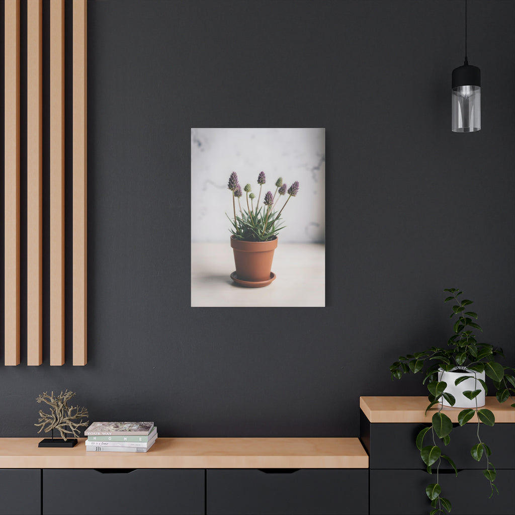 Potted Alpine Dodgegrass Wall Art – Stretched Canvas