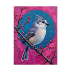 Blue jay on a holly branch Wall Art - Poster